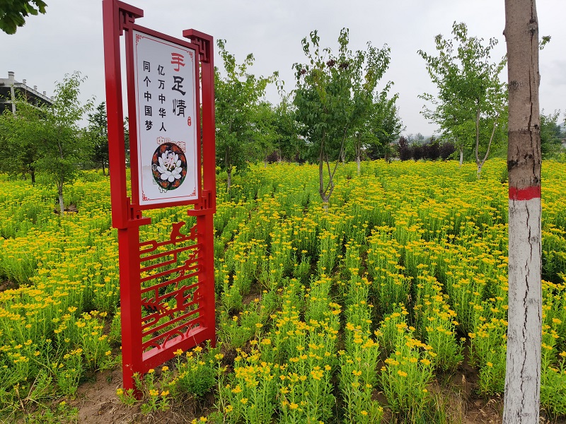 導(dǎo)視牌